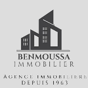 benmoussa badr